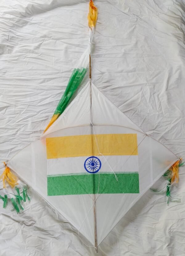 Indian Flag Kite